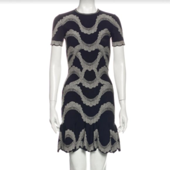 Alexander McQueen Dresses & Skirts - RARE Alexander McQueen Knit Intarsia Dress, Size XS